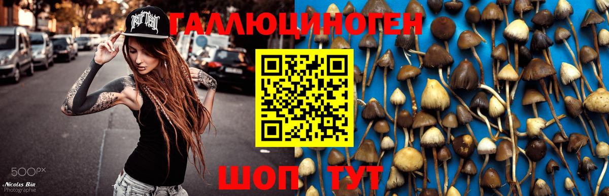 Галлюциногенные грибы MAGIC MUSHROOMS Гусев