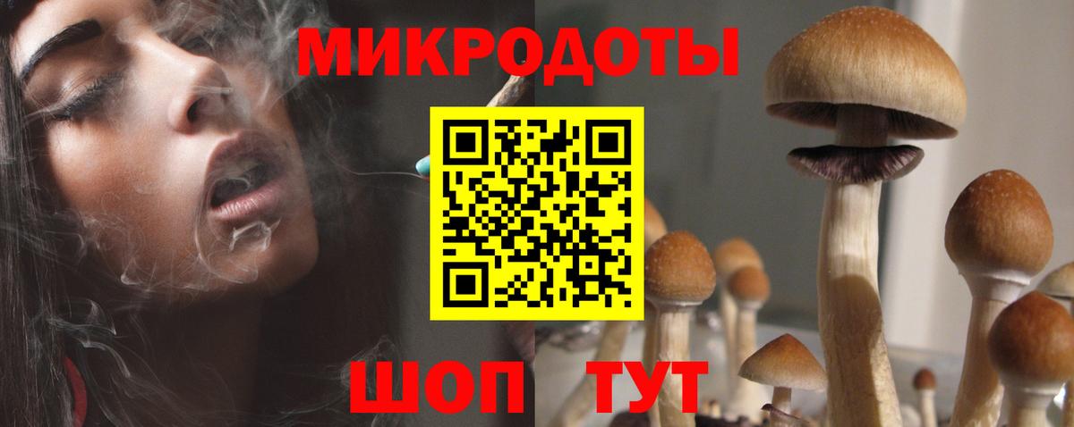 Псилоцибиновые грибы Psilocybine cubensis  Вход с VPN  Гусев 
