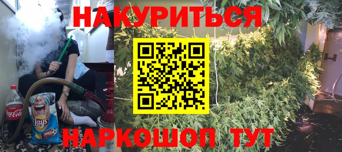 Гусев  Бошки Шишки сатива  Шишки марихуана марихуана  Канабис семена  Вход с VPN 